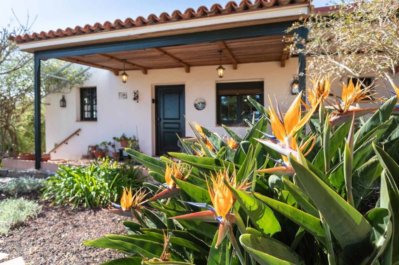 Live La Laguna Casita Vieja Eksteriør bilde